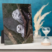 Zwei Owls Fotoplatte (Seite)