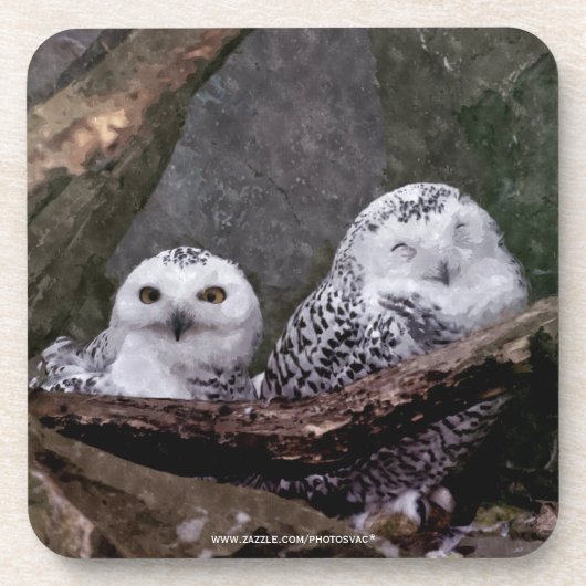 Zwei Owls Getränkeuntersetzer (Vorderseite)