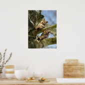 Zwei Owls im Wald, Vögel, Wild Poster (Küche)