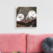 Zwei Owls Leinwanddruck (Insitu (Wohnzimmer))