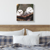 Zwei Owls Leinwanddruck (Insitu (Schlafzimmer))