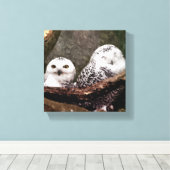 Zwei Owls Leinwanddruck (Insitu (Holzboden))