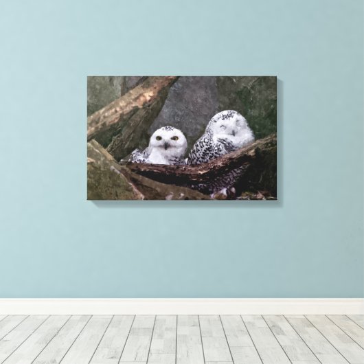 Zwei Owls Leinwanddruck (Insitu (Holzboden))