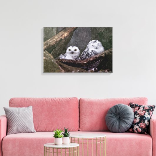 Zwei Owls Leinwanddruck (Insitu (Wohnzimmer))