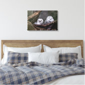 Zwei Owls Leinwanddruck (Insitu (Schlafzimmer))
