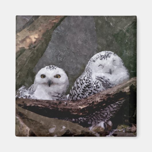 Zwei Owls Magnet (Vorne)
