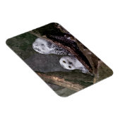 Zwei Owls Magnet (Rechte Seite)