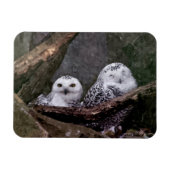 Zwei Owls Magnet (Horizontal)