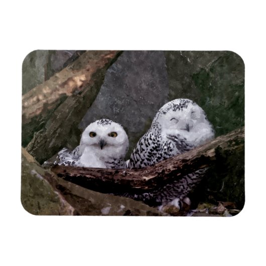 Zwei Owls Magnet (Horizontal)