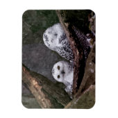 Zwei Owls Magnet (Vertikal)