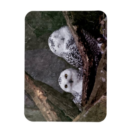 Zwei Owls Magnet (Vertikal)