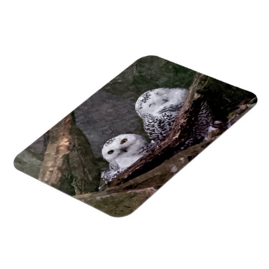 Zwei Owls Magnet (Linke Seite)