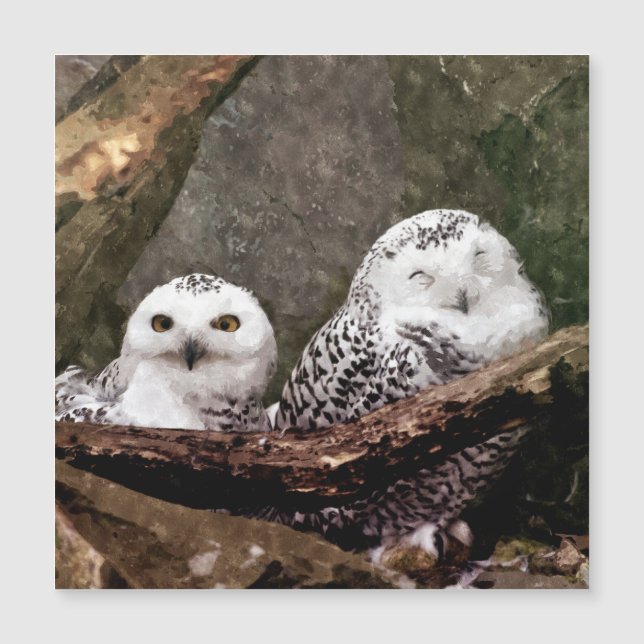 Zwei Owls Magnetkarte (Vorderseite)