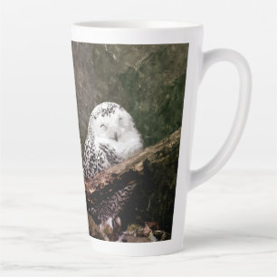 Zwei Owls Milchtasse