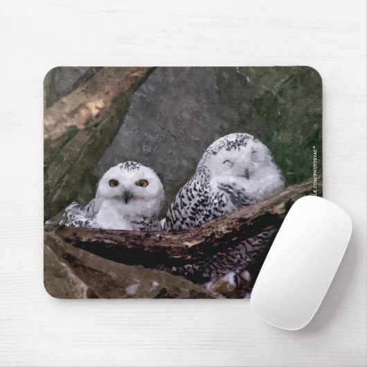 Zwei Owls Mousepad (Mit Mouse)
