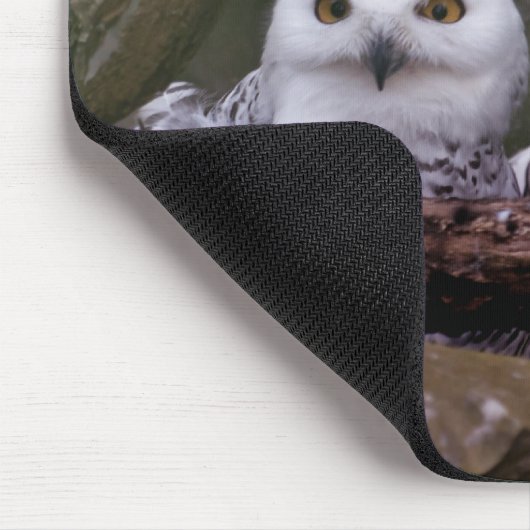 Zwei Owls Mousepad (Ecke)