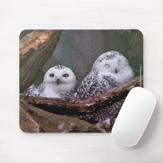 Zwei Owls Mousepad (Mit Mouse)