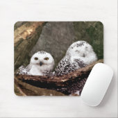 Zwei Owls Mousepad (Mit Mouse)