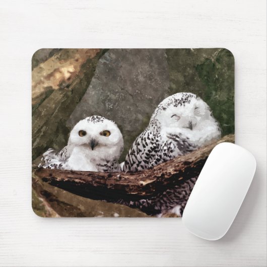 Zwei Owls Mousepad (Mit Mouse)