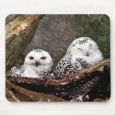 Zwei Owls Mousepad (Vorne)