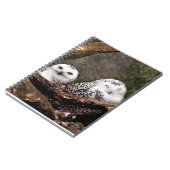 Zwei Owls Notizblock (Linke Seite)