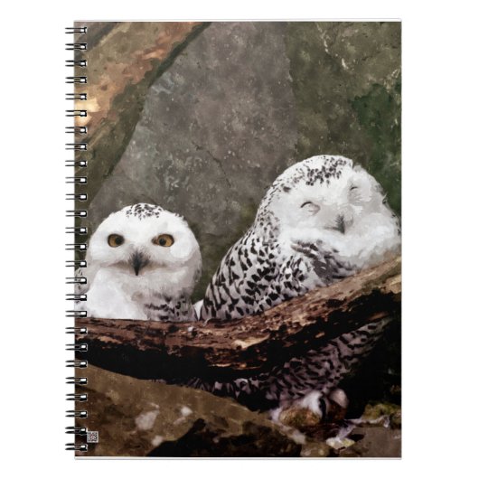 Zwei Owls Notizblock (Vorderseite)