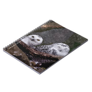 Zwei Owls Notizblock