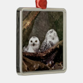 Zwei Owls Ornament Aus Metall (Rechts)