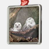 Zwei Owls Ornament Aus Metall (Links)