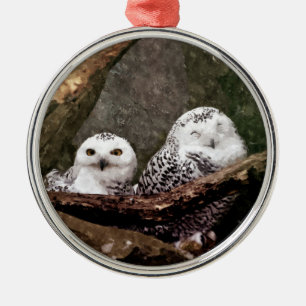 Zwei Owls Ornament Aus Metall