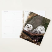 Zwei Owls Planer (Anzeige)