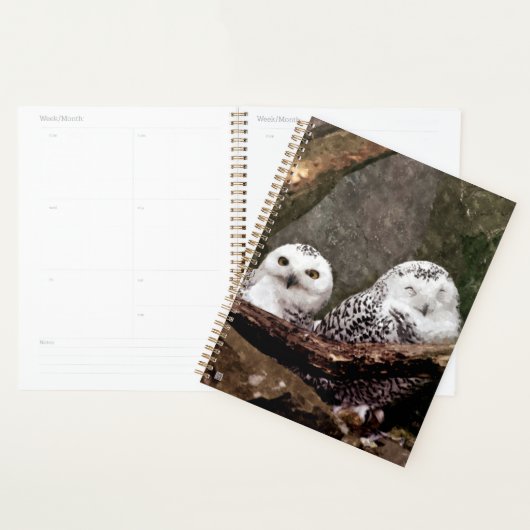 Zwei Owls Planer (Anzeige)