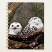Zwei Owls Planer (Vorderseite)