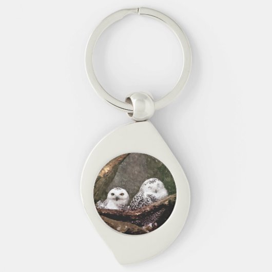 Zwei Owls Schlüsselanhänger (Vorderseite)