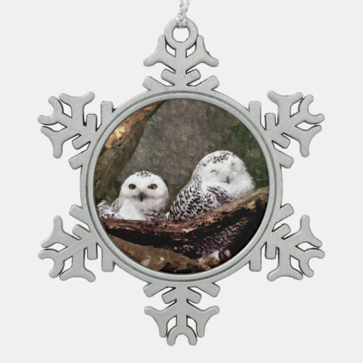 Zwei Owls Schneeflocken Zinn-Ornament (Vorderseite)