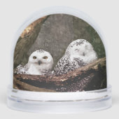 Zwei Owls Schneekugeln (Vorderseite)