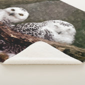 Zwei Owls Sherpadecke (3/4)