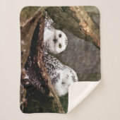 Zwei Owls Sherpadecke (Vorderseite)