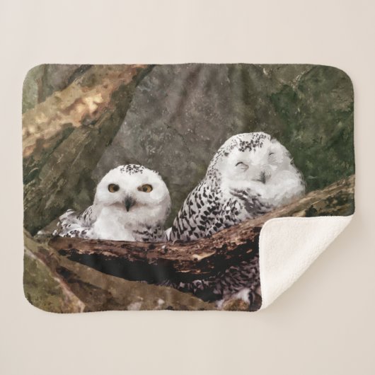 Zwei Owls Sherpadecke (Vorderseite (Horizontal))