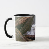 Zwei Owls Tasse (Links)
