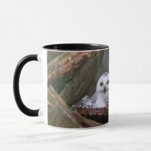 Zwei Owls Tasse