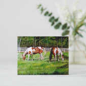 Zwei Paint Horses Weiden Postkarte (Stehend Vorderseite)