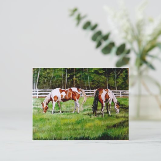 Zwei Paint Horses Weiden Postkarte (Stehend Vorderseite)
