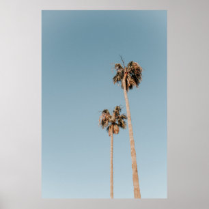 Zwei Palmen Poster