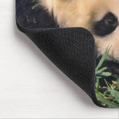 Zwei Panda-Sträucher im Bambusstrauch, Wolong, Mousepad (Ecke)