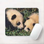 Zwei Panda-Sträucher im Bambusstrauch, Wolong, Mousepad (Mit Mouse)