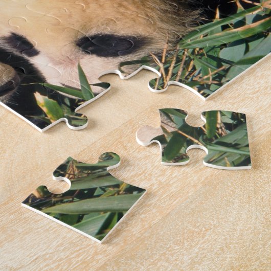 Zwei Panda-Sträucher im Bambusstrauch, Wolong, Puzzle (Seite)