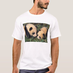Zwei Pandajunge im Bambusgebüsch, Wolong, T-Shirt