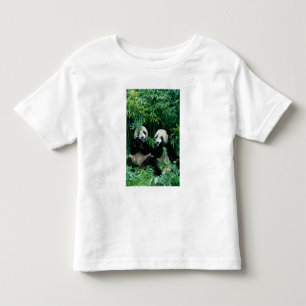 Zwei Pandas essen gemeinsam Bambus, Wolong Kleinkind T-shirt