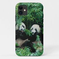 Zwei Pandas essen zusammen Bambus, Wolong